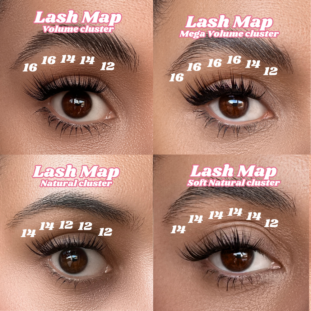 
                      
                        DIY LASH KIT STARTERS
                      
                    